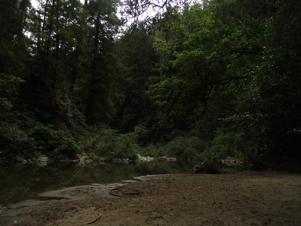 California