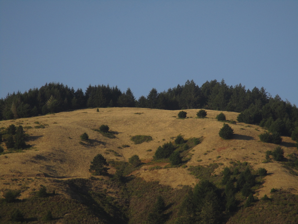 California